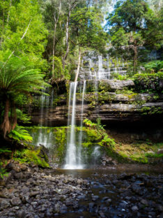 Mt Field Nationalpark - Russell Falls