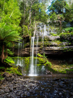 Mt Field Nationalpark - Russell Falls