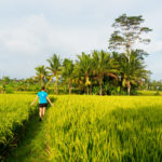 Ubud - Ausflug in die Penestanan Rice Terraces
